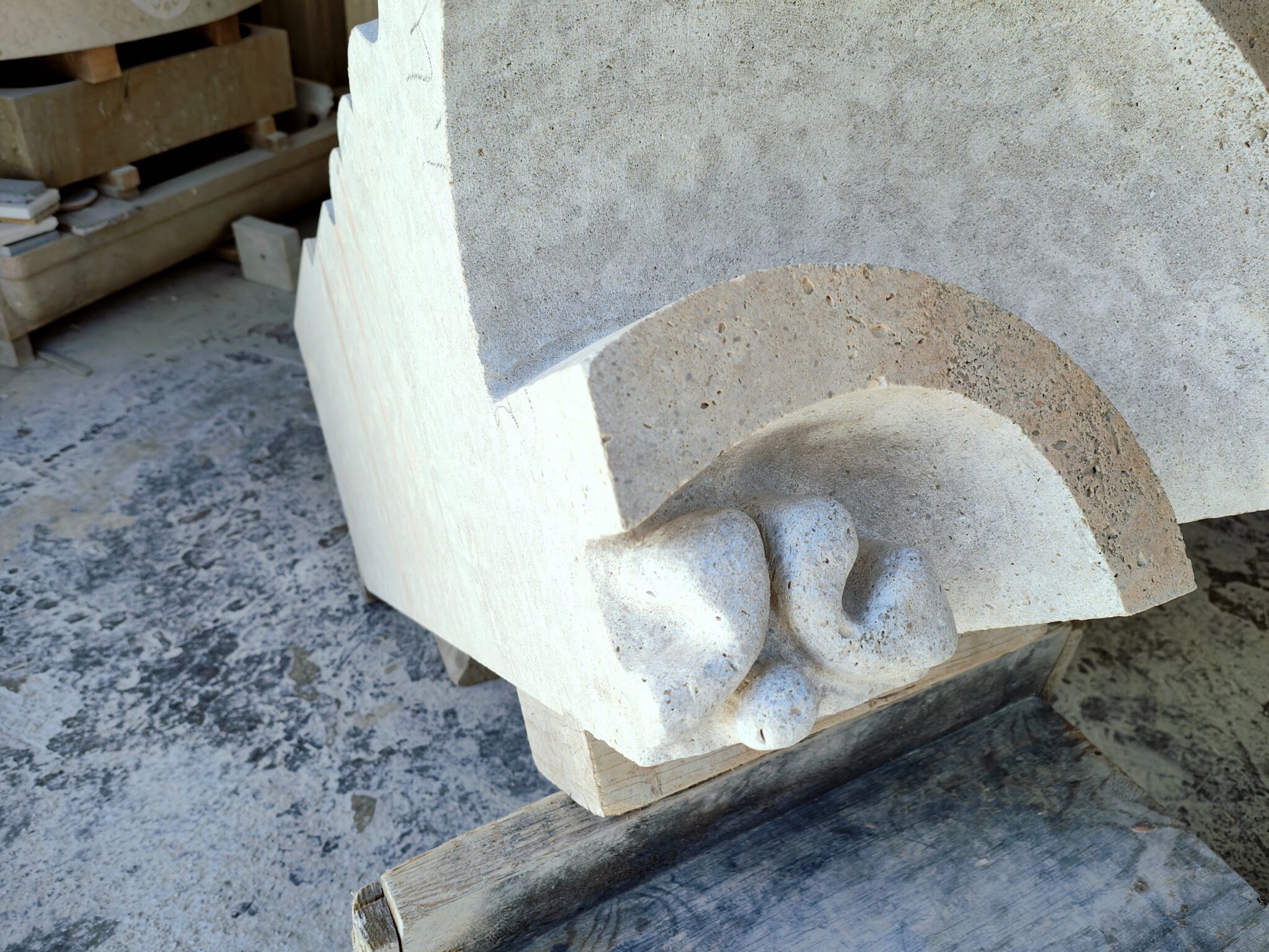 IMG20240129144811 scaled